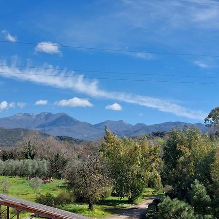 Agriturismo La Petrosa Ceraso Экстерьер фото