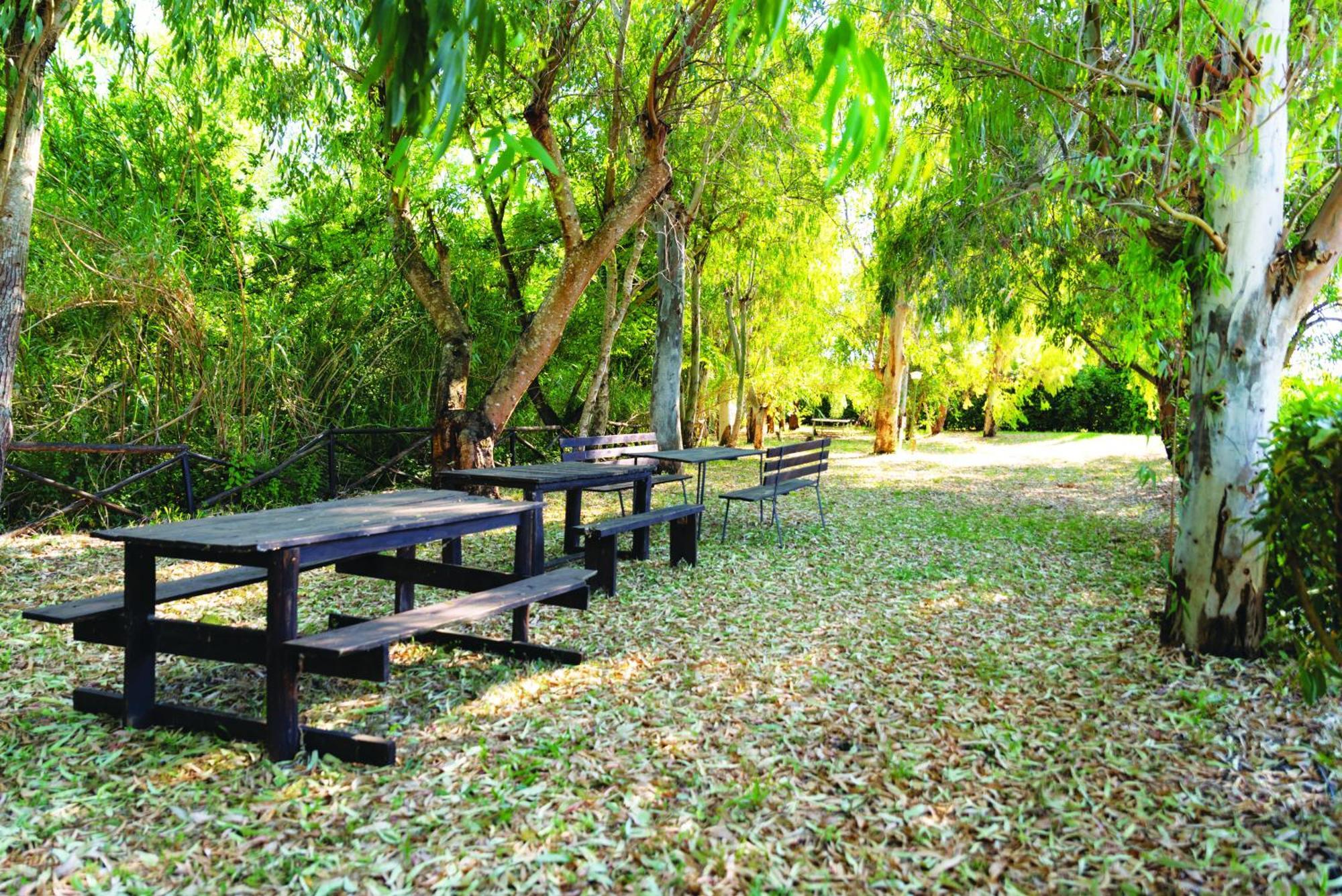 Agriturismo La Petrosa Ceraso Экстерьер фото