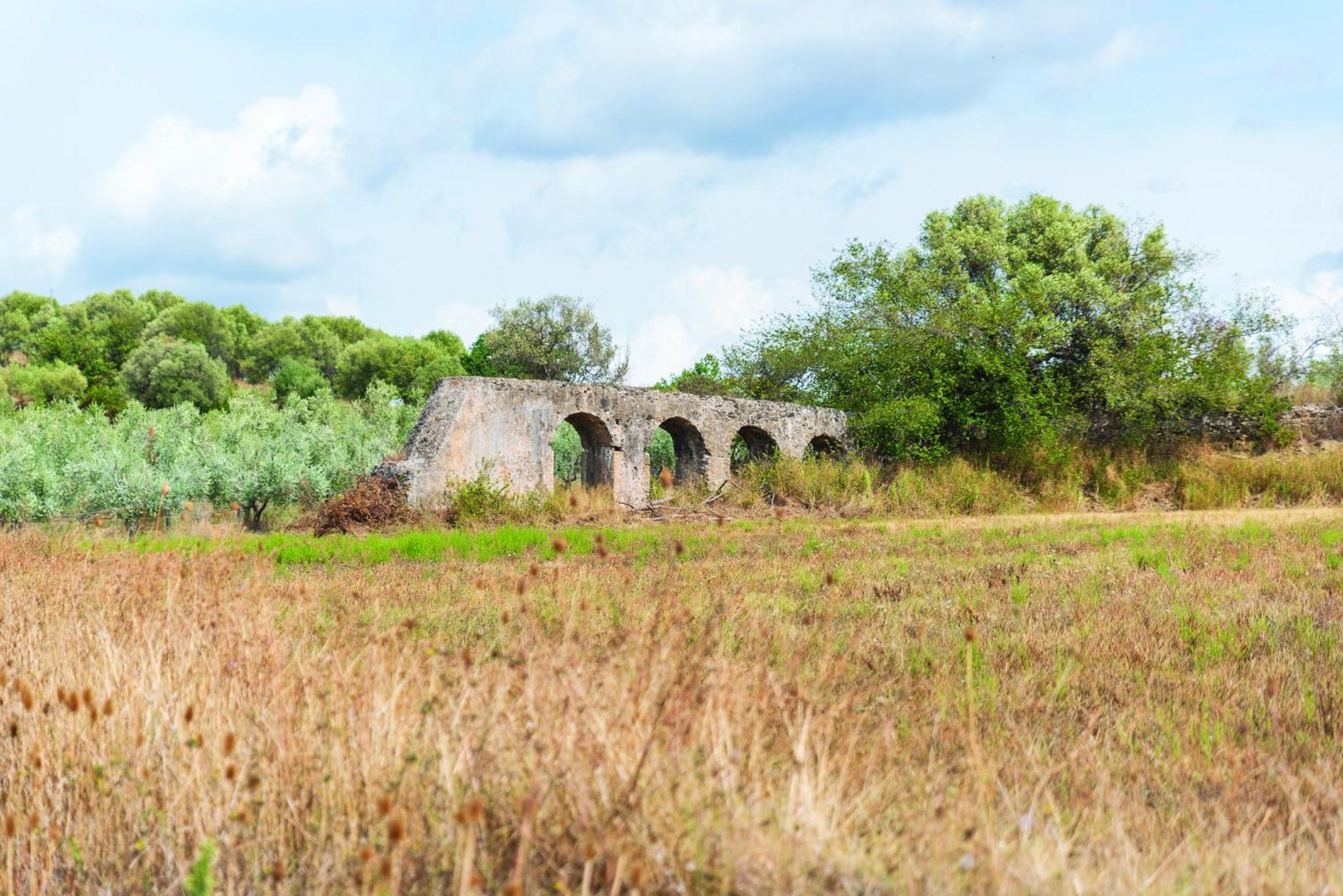 Agriturismo La Petrosa Ceraso Экстерьер фото